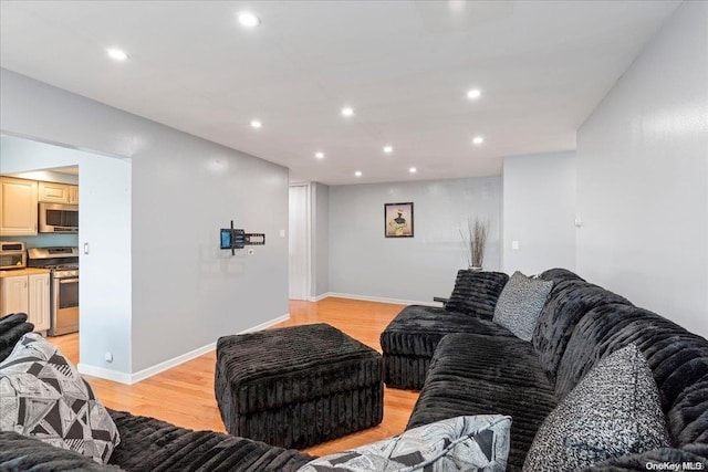 living room with light wood-type flooring