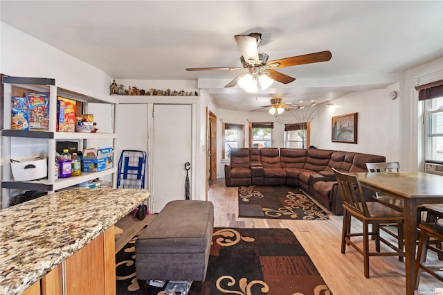 living room with ceiling fan, plenty of natural light, and light hardwood / wood-style floors