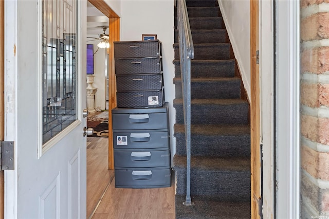 stairway with wood-type flooring