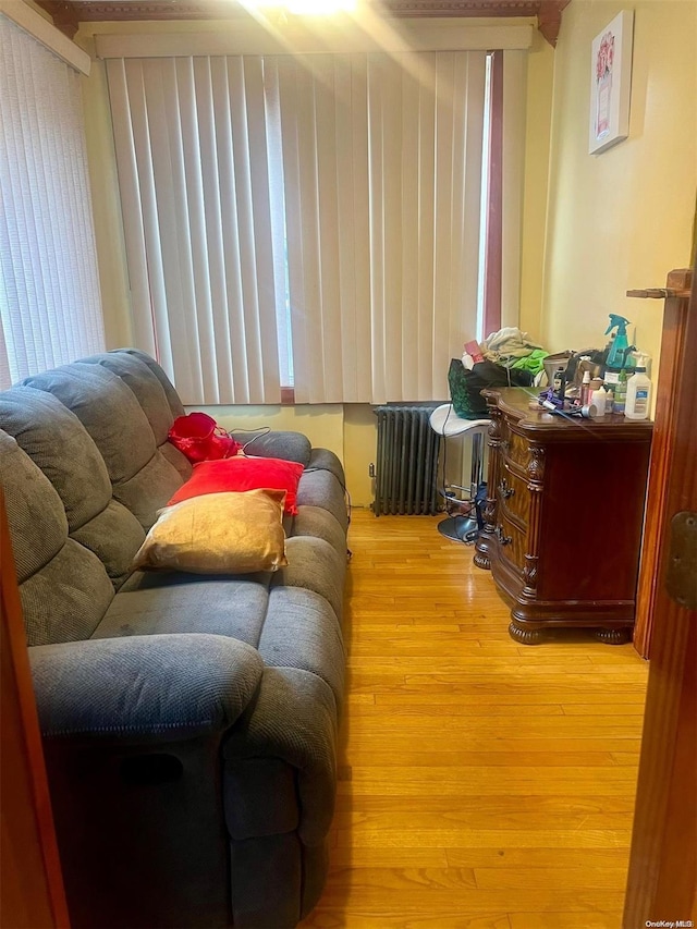 living room with hardwood / wood-style floors and radiator heating unit