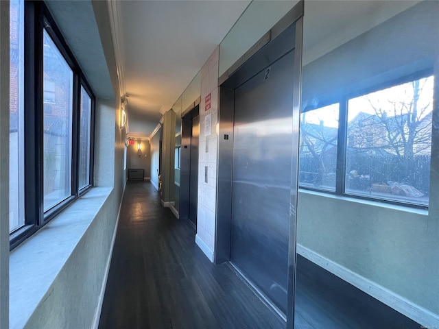 hall featuring elevator and dark hardwood / wood-style flooring