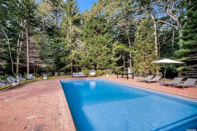 view of pool featuring a patio