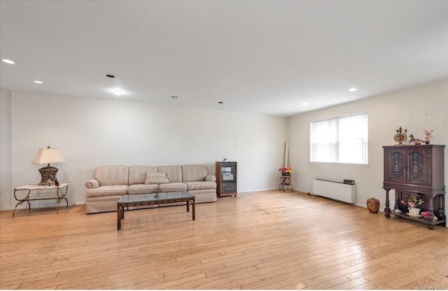 living room featuring light hardwood / wood-style flooring