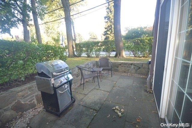 view of patio / terrace featuring area for grilling