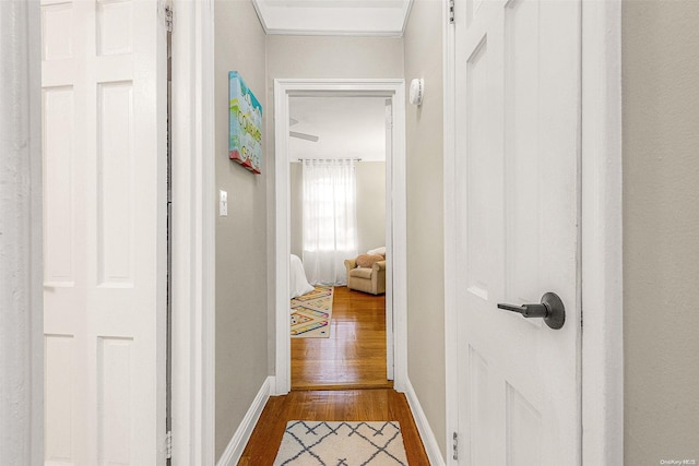 corridor featuring crown molding and wood-type flooring