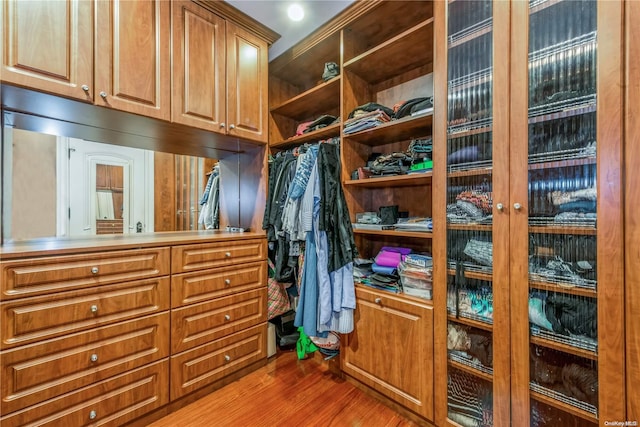 spacious closet with hardwood / wood-style flooring