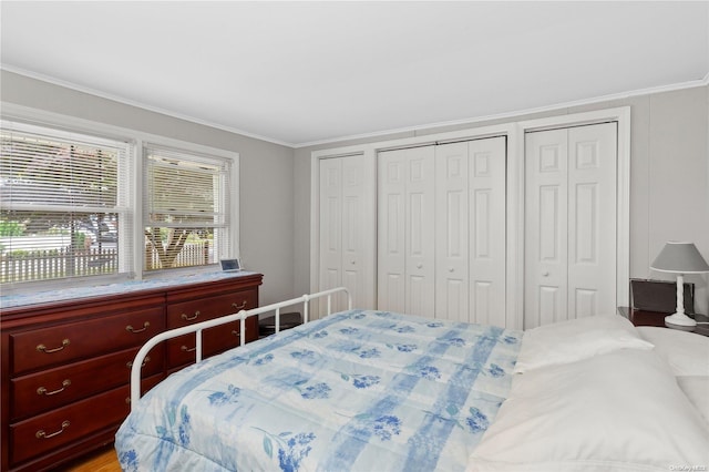 bedroom featuring wood-type flooring, ornamental molding, and two closets