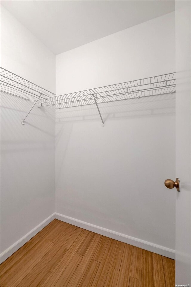 walk in closet featuring wood-type flooring