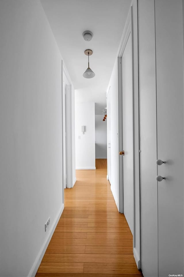 hall featuring light wood-type flooring