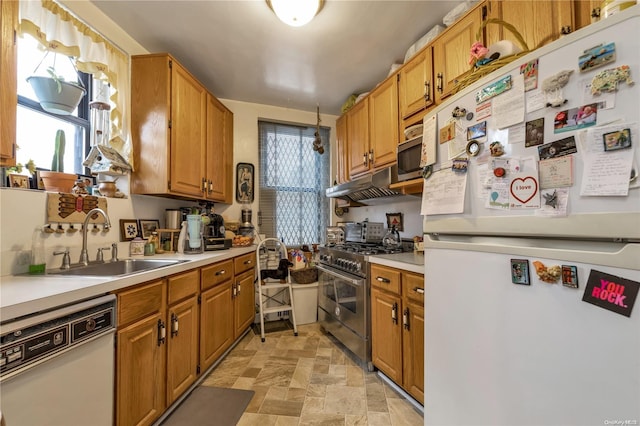 kitchen featuring a wealth of natural light, sink, and appliances with stainless steel finishes