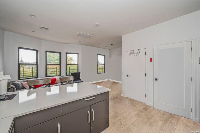 kitchen with dark brown cabinetry and light hardwood / wood-style flooring