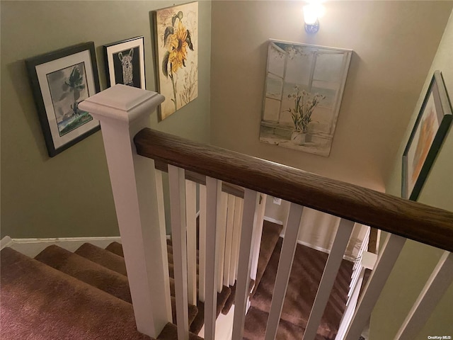 staircase with carpet