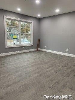 unfurnished room with wood-type flooring