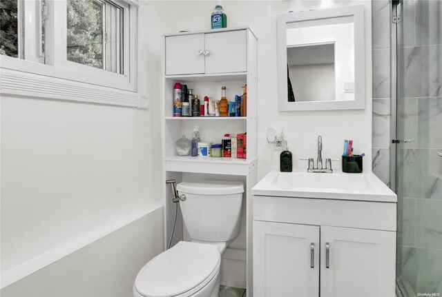 full bathroom featuring toilet, a stall shower, and vanity