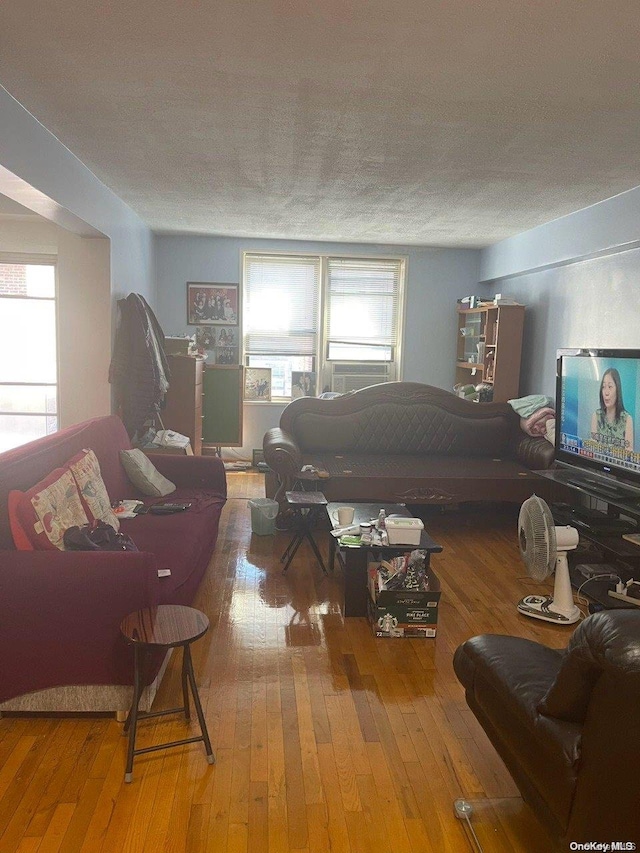 living room with wood-type flooring, a textured ceiling, and a wealth of natural light