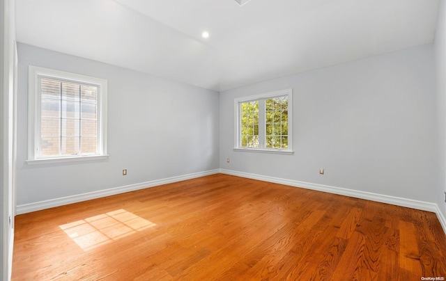 unfurnished room with light wood-type flooring and a healthy amount of sunlight