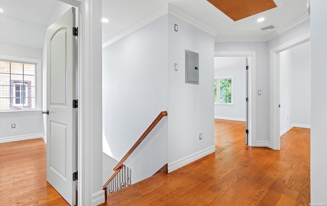 hallway with crown molding, electric panel, and light hardwood / wood-style flooring