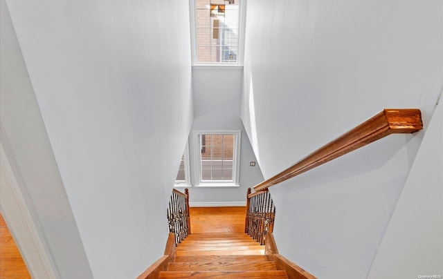 staircase featuring wood-type flooring and a wealth of natural light