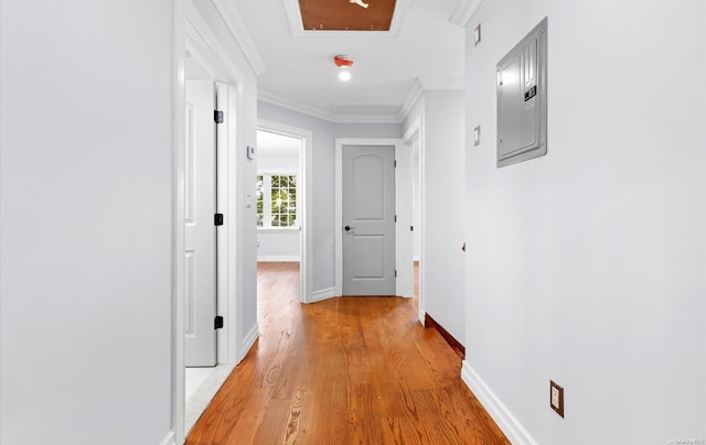 corridor featuring ornamental molding, electric panel, and light hardwood / wood-style flooring