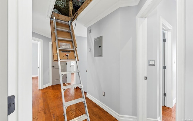 hallway featuring hardwood / wood-style floors, electric panel, and crown molding