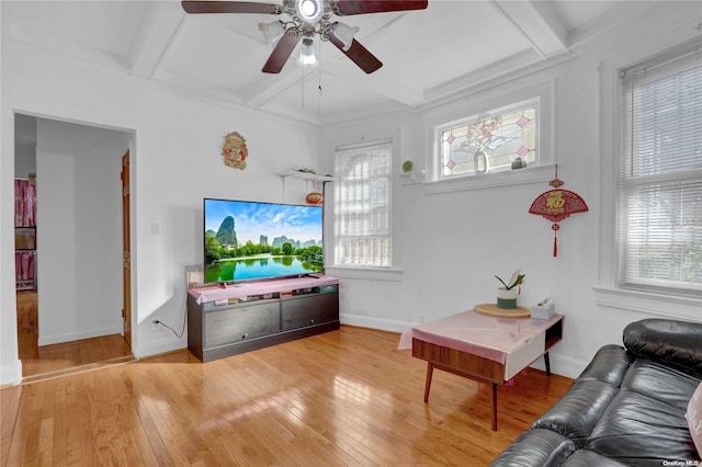 living room featuring beam ceiling, light hardwood / wood-style floors, and ceiling fan