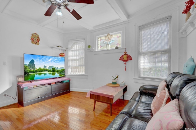 living room featuring wood-type flooring, a healthy amount of sunlight, and beam ceiling