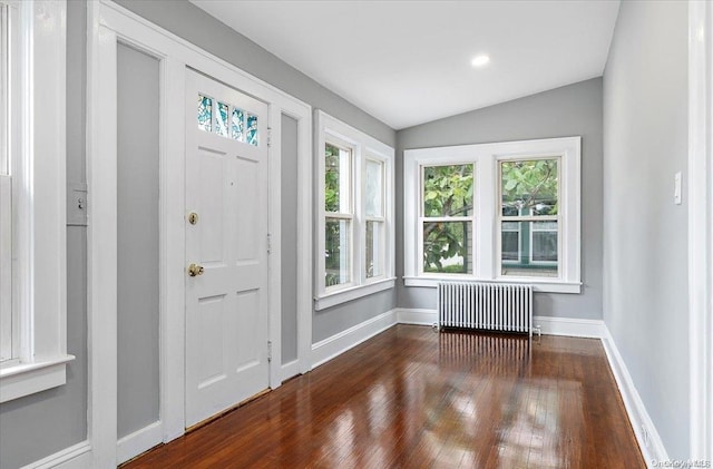 entryway with dark hardwood / wood-style floors, radiator heating unit, a wealth of natural light, and vaulted ceiling