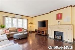 living area with dark wood-style floors, ornamental molding, and a fireplace