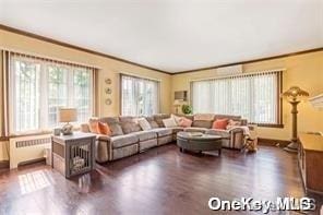 living area featuring ornamental molding and radiator