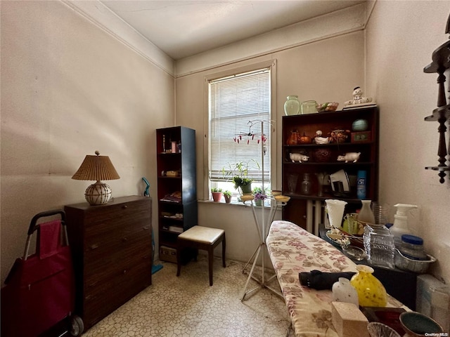 living area with ornamental molding