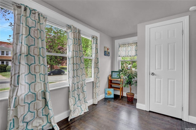 foyer entrance with dark wood-type flooring