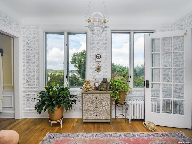 doorway to outside featuring radiator and wood-type flooring