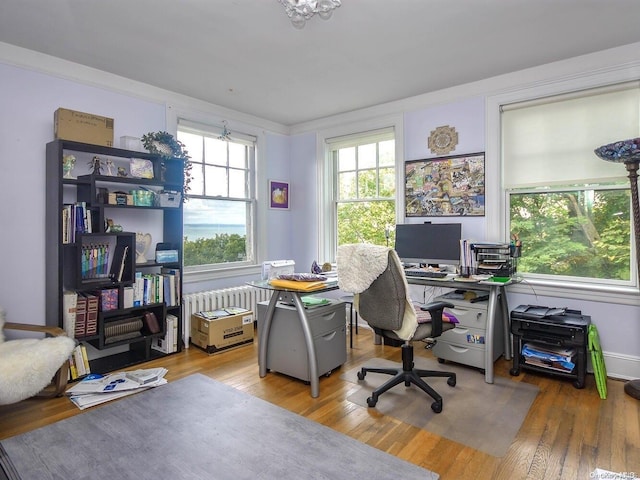 office with light wood-type flooring