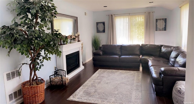 living room featuring dark wood-type flooring