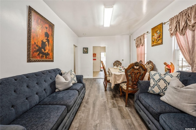 living room featuring hardwood / wood-style floors