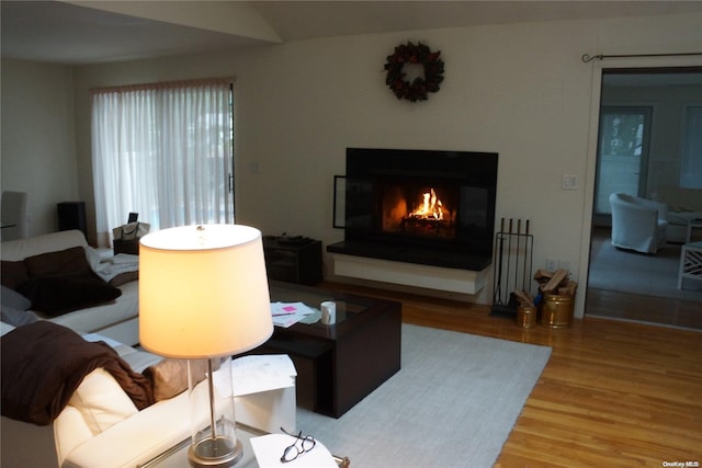 living room featuring hardwood / wood-style flooring