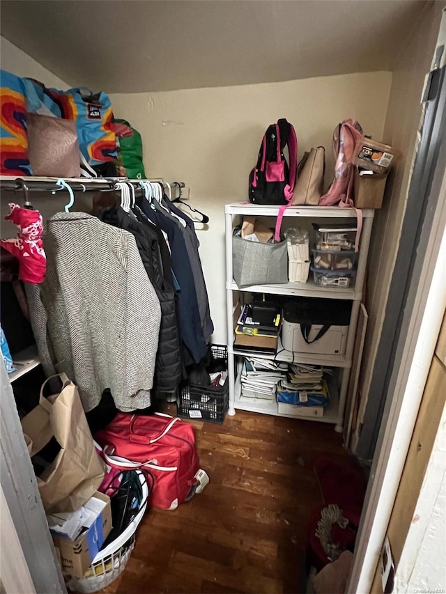 walk in closet with hardwood / wood-style floors