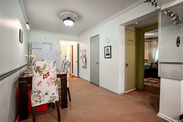 hall featuring ornamental molding and carpet floors