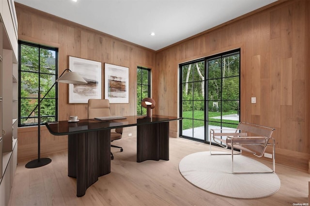 office area featuring light wood-type flooring, a healthy amount of sunlight, and wood walls