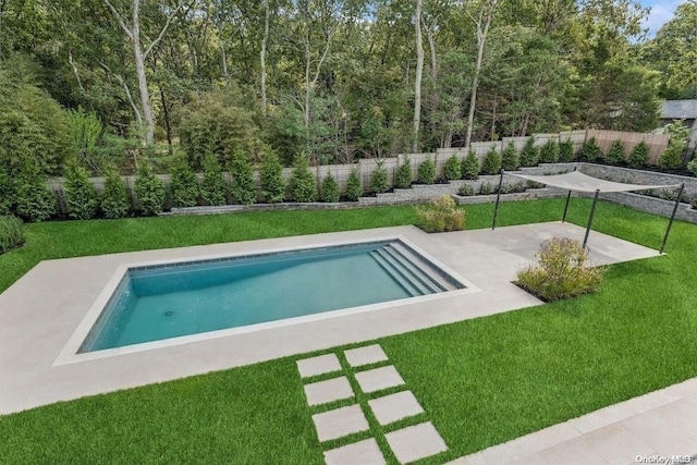 view of pool featuring a yard and a patio area