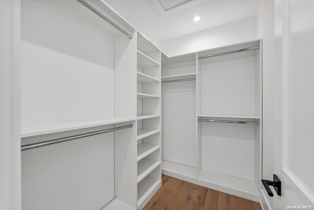 walk in closet featuring dark hardwood / wood-style flooring