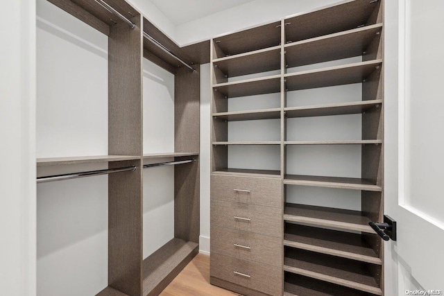 spacious closet featuring light wood-type flooring