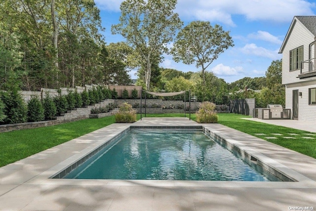 view of pool featuring an outdoor kitchen and a lawn