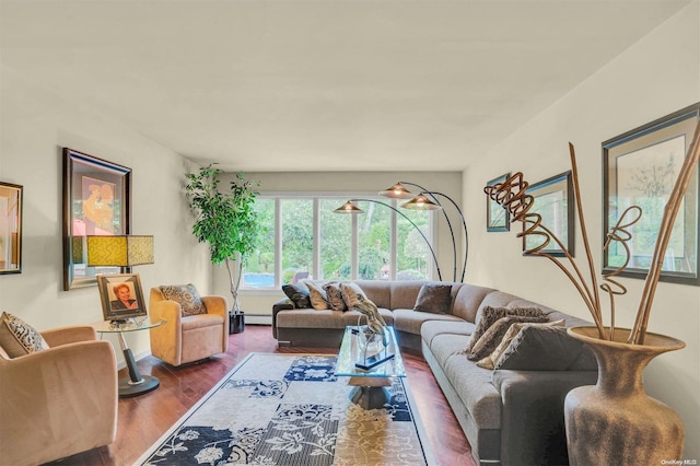 living room featuring dark hardwood / wood-style flooring and a baseboard heating unit