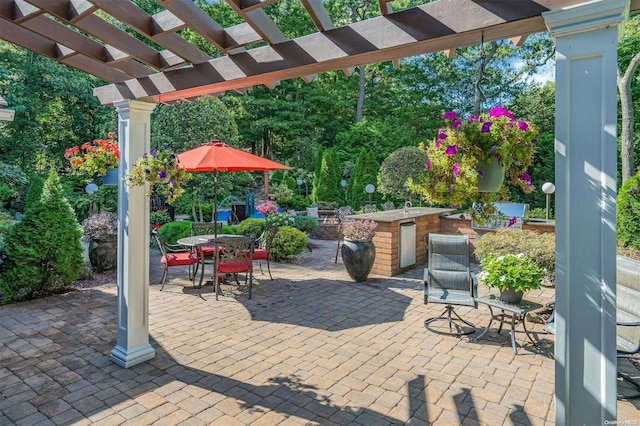 view of patio / terrace with exterior kitchen and a pergola