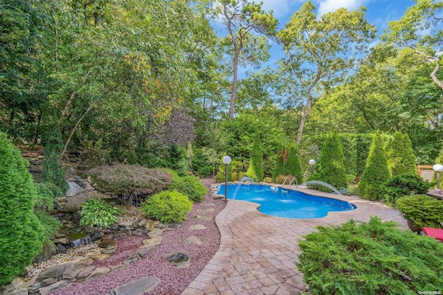 view of pool featuring a patio