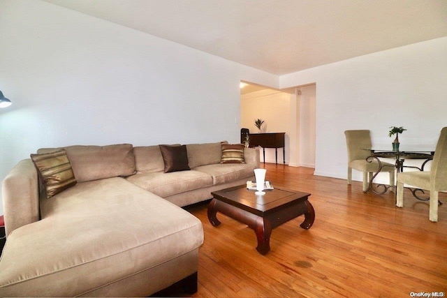 living room with hardwood / wood-style floors