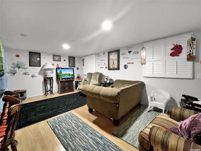 living room with wood-type flooring