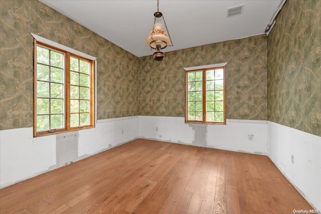 empty room featuring wood-type flooring and plenty of natural light