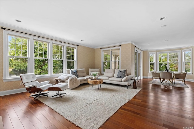 living room featuring crown molding and dark hardwood / wood-style floors